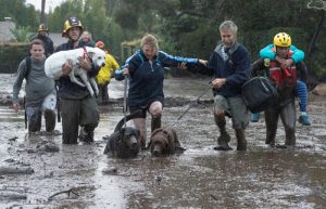 Emergency personnel evacuate local residents and their dogs through flooded waters after a mudslide in Montecito, California, U.S. January 9, 2018. Kenneth Song/Santa Barbara