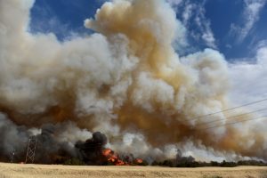 The Rhea fire burns through a grove of red cedar trees near Seiling, Oklahoma, U.S. April 17, 2018. REUTERS/Nick Oxford
