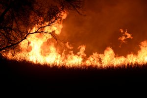 The Rhea fire burns into the night near Seiling, Oklahoma, U.S. April 17, 2018. REUTERS/Nick Oxford