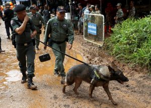 Soldiers walk with a dog near the Tham Luang cave complex, as a search for members of an under-16 soccer team and their coach continues, in the northern province of Chiang Rai, Thailand, June 29, 2018. REUTERS/Soe Zeya Tun