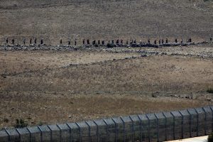 People walk towards the border fence between Israel and Syria from its Syrian side as it is seen from the Israeli-occupied Golan Heights near the Israeli Syrian border July 17, 2018. REUTERS/Ronen Zvu