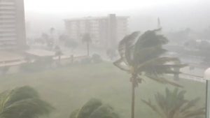 Trees sway as Storm Gordon descends on Fort Lauderdale, Florida, U.S., September 3, 2018 in this still image taken from a video obtained from social media. @Saralina77/via REUTERS