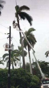 Maintenance crew work near power lines during an outage after Storm Gordon descended on Miami Beach, Florida, U.S., September 3, 2018 in this still image taken from a video obtained from social media. @ZwebackHD/via REUTERS