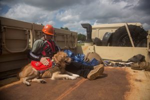 Michael Ziolkowski, a Field Operations Supervisor for the National Disaster Response K-9 Unit and his partner, Morty, are transported to support relief efforts in the aftermath of Hurricane Florence in Spring Lake, North Carolina, September 16, 2018. Spc. Austin T. Boucher/U.S. Army/Handout via REUTERS