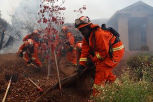 An inmate firefighter crew work to create a defensible space while battling the Camp Fire in Paradise, California, U.S. November 8, 2018. REUTERS/Stephen Lam