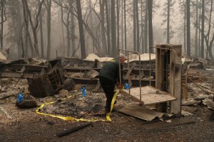 A Butte County Sheriff deputy places yellow tape at the scene where human remains were found during the Camp fire in Paradise, California, U.S. November 10, 2018. REUTERS/Stephen Lam