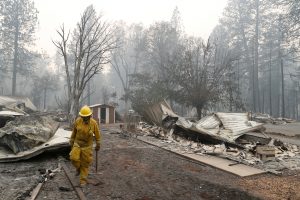 A Cal Fire firefighter walks between homes destroyed by the Camp Fire in Paradise, California, U.S., November 13, 2018. REUTERS/Terray Sylvester