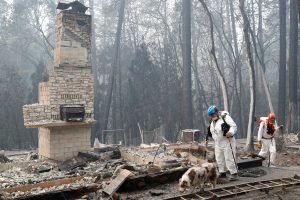Trish Moutard (C), of Sacramento, searches for human remains with her cadaver dog, I.C., in a house destroyed by the Camp Fire in Paradise, California, U.S., November 14, 2018. REUTERS/Terray Sylvester