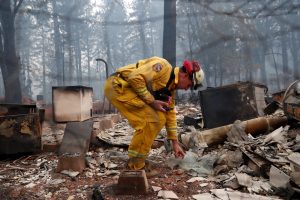 Cal Fire firefighter Stewart Morrow inspects a house destroyed by the Camp Fire in Paradise, California, U.S., November 14, 2018. REUTERS/Terray Sylvester