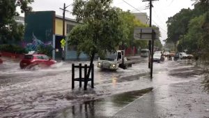 Vehicles drive on a flooded street in Sydney, New South Wales, Australia November 28, 2018 in this still image taken from a video obtained from social media. @DeeCee451/via REUTERS