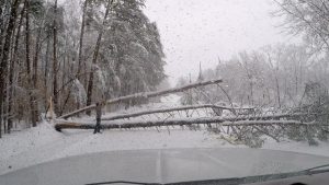 A man cuts a fallen tree blocking a road in Landrum, South Carolina, U.S., December 9, 2018 in this still image from video obtained from social media. Off-Road Adventures/via REUTERS