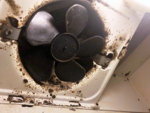 Mold covers a kitchen range fan inside a Corvias-managed military housing unit in Fort Polk, Louisiana, U.S. November 14, 2018. REUTERS/Joshua Schneyer